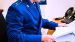 Уроженка Онеги осуждена за истязание несовершеннолетних пасынка и племянника и ненадлежащее исполнение обязанностей по их воспитанию